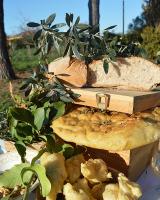 Villa Orta - Agriturismo con cucina Vegan, Plant-based Farmhouse - Ferienwohnung Ritirata