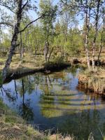 Kivakko Saariselän paratiisi - B&B