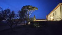 Podere Il Belvedere su Cortona - Bed and Breakfast
