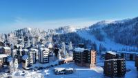 Pinewood apartment II Jahorina - B&B