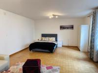 B&B Basilea - Apt near Basel Centre and Airport - Bed and Breakfast Basilea