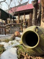 Villa Nors - B&B Ereván