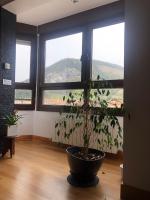 Dúplex Markina Xemein - B&B Markina