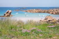ROSCAROC ENEZ AR BEG - Charmant T2 proche plage - B&B