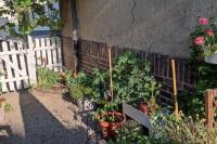 Ruhrpott-Paradies - Bed and Breakfast Duisburg