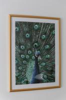 20 m² métro 7 à 5 min à pied - Bed and Breakfast Le Kremlin-Bicêtre