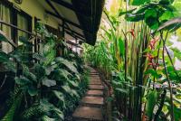 Himaya - B&B Cabuntog