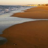 Villa happy days - B&B San Vincenzo