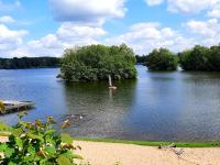 UnserGuesterHaus - Ferienwohnung Güster