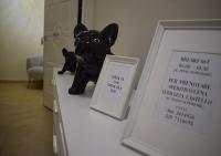Corso Italia Luxury Suite - Bed and Breakfast