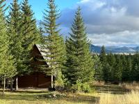 Wonderwood Board home - B&B