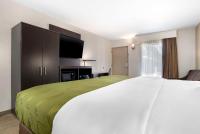 Suite mit Kingsize-Bett und Schlafsofa - Nichtraucher