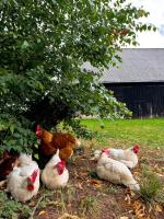 Cavalan Ranch - B&B Wardow