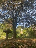 Casa Baseggio - Ferienwohnung Canela