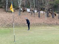 Colorado Bed & Breakfast with beautiful views - B&B Evergreen