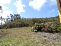 Habitación Doble con baño privado
