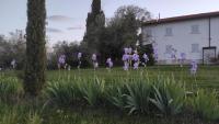 Appartamento