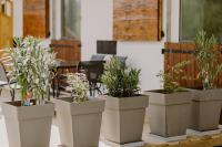 Domaine les hirondelles Carmen - Bed and Breakfast