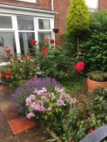 Rose Cottage, Newbiggin-by-the-Sea - B&B