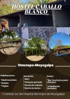 B&B Moyogalpa - Hostel Caballo Blanco - Bed and Breakfast Moyogalpa