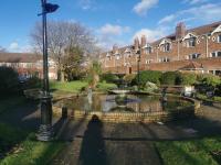 Single room in charming apartment with the terrace and the cat in Sandymount - B&B