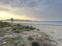 Sunny flat among olive trees, next to the beach - B&B Módhion