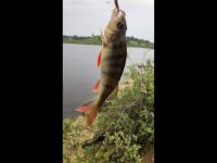 Teasy's cottage - B&B Armagh