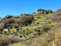 Double or Twin Room with Mountain View