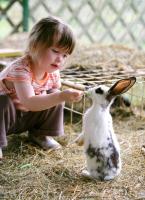 Turistična Kmetija Čebelji Gradič - Ferienwohnung Rogašovci