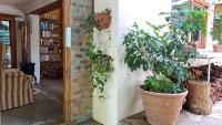 Serene Garden Flat - B&B