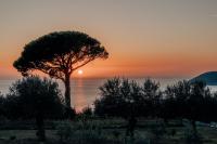 Superior Suite mit Meerblick