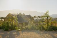 Berghuis - Mountain Hideaway - B&B Wolseley