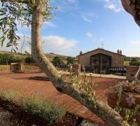 Agriturismo iOlive Tuscany appartamento Pendolino - B&B Santa Luce