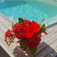 B&B Sainte-Luce - Pitaya Lodge by Lodge Paradise - Bed and Breakfast Sainte-Luce