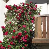 Suite Junior avec Balcon
