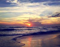 phoenix bed and breakfast 5 - Ferienwohnung Canggu