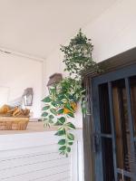 Summer dreams Tenerife - B&B