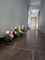 Apartamento de 2 dormitorios