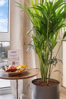 Federnest living - Superior-2-Zimmer-Wohnung - Kingsize Boxspringbett - Home-Office mit Monitor - 11 Min Hbf - B&B Duisburg