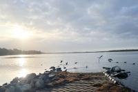 The Swan Lakehouse - Buff Point - B&B Budgewoi