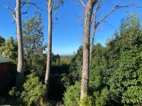 The Red Cottage - B&B Wentworth Falls