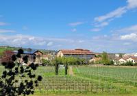 B&B Bad Dürkheim - Ihr Bett mit Blick auf die Weinberge - Bed and Breakfast Bad Dürkheim