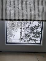 Pine tree cottage - B&B Zlatibor