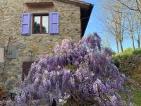 Antico Casale Il Fiorentino - B&B