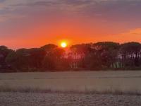 Can Massanet - Chambres d’hôtes Llagostera