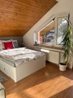 Podkrovní apartmán s balkónem - B&B Ostrava