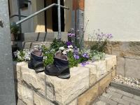 Apartmenthaus Zentral Bad Schandau - Bed and Breakfast