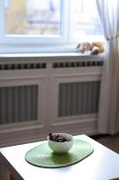 Studio Jasna - Chambres d’hôtes Novi Sad