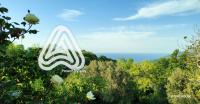 stone house - Evdilos Icaria - B&B
