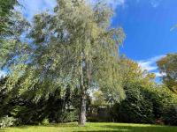 Edge view, outdoor adventure focused cottage, sleeps 8 - B&B
